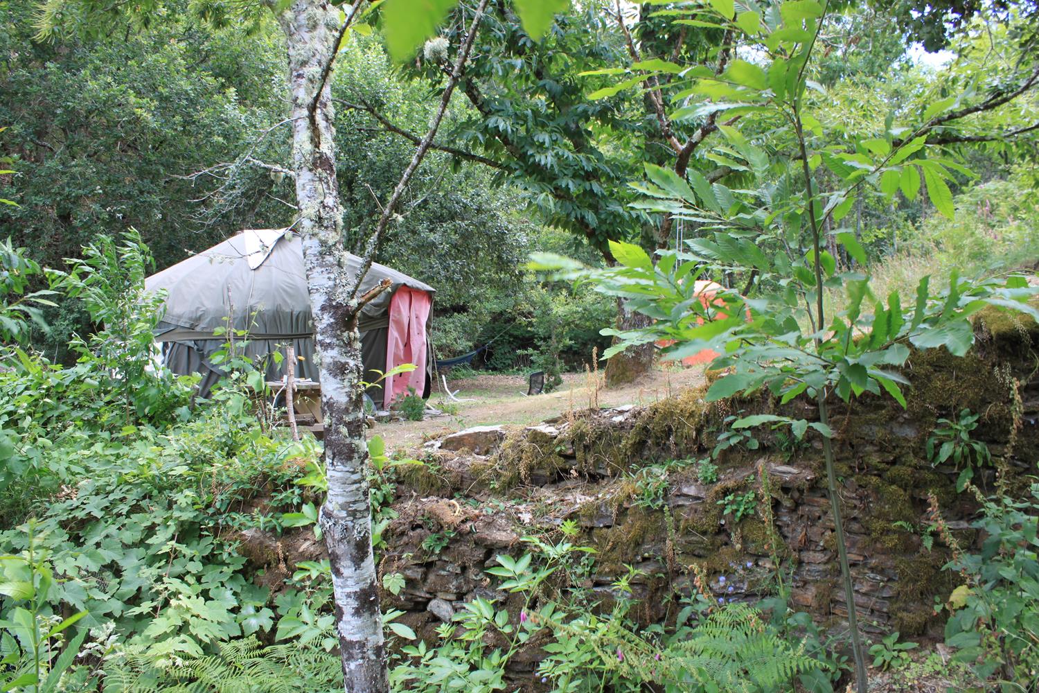 apple-tree-yurt-exterior-through-the-trees_12884663594_o (Copy)