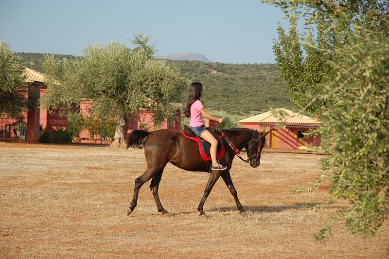 hippesippe__Eumelia__ horse__riding__Copyright__www.eumelia.com